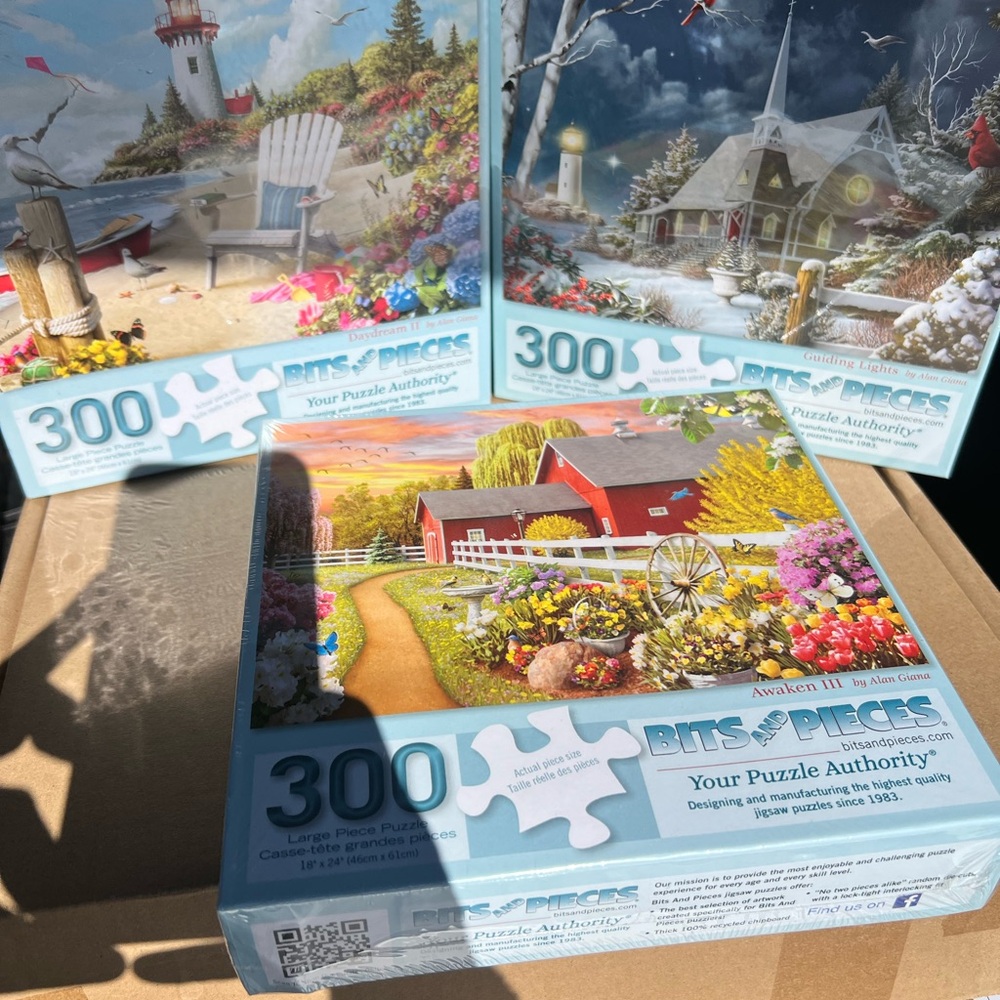 Pick one 300 piece puzzle
